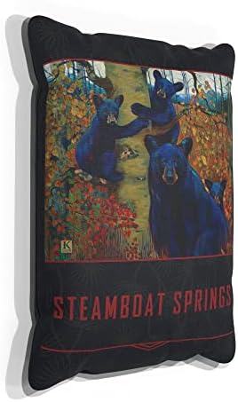 Steamboat Springs נושאים בד אילן יוחסין זורק כרית לספה או ספה בבית ומשרד מציור שמן מאת האמן קארי לר 13